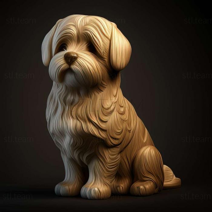 Maltese Lapdog dog